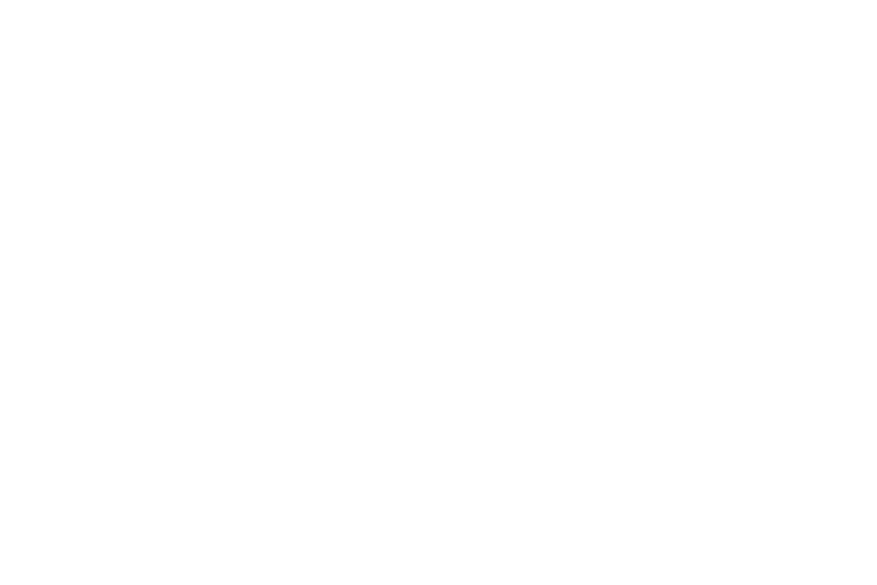 The Healthy Homes Team